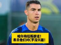 开云体育入口-帕尔梅拉斯主教练称赞球队拼搏精神，期待突破的简单介绍